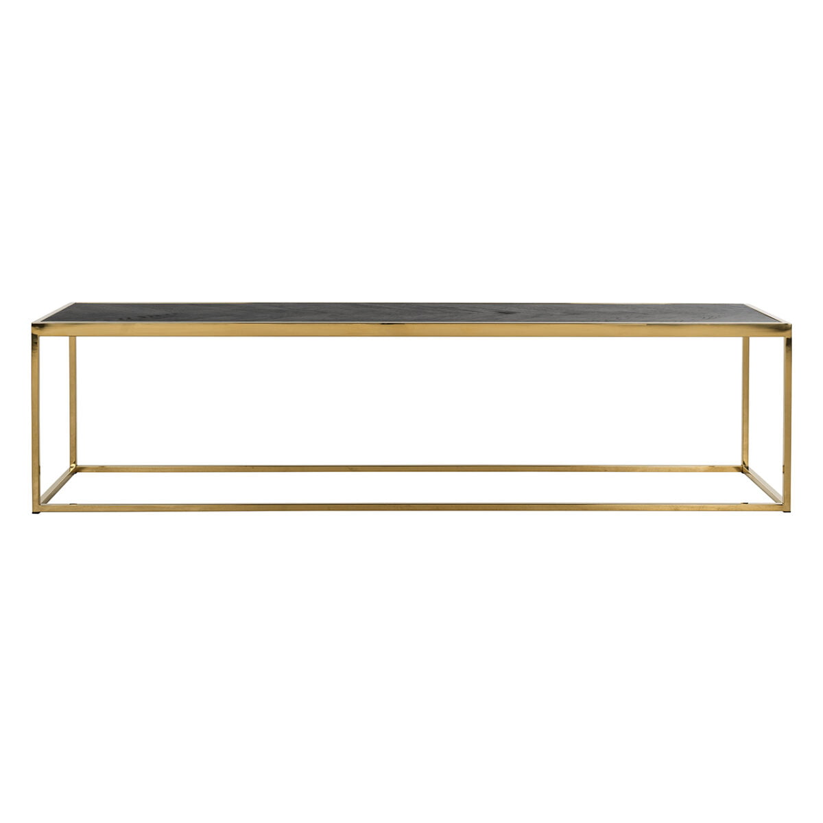 Richmond Salontafel Blackbone Goud 160x40